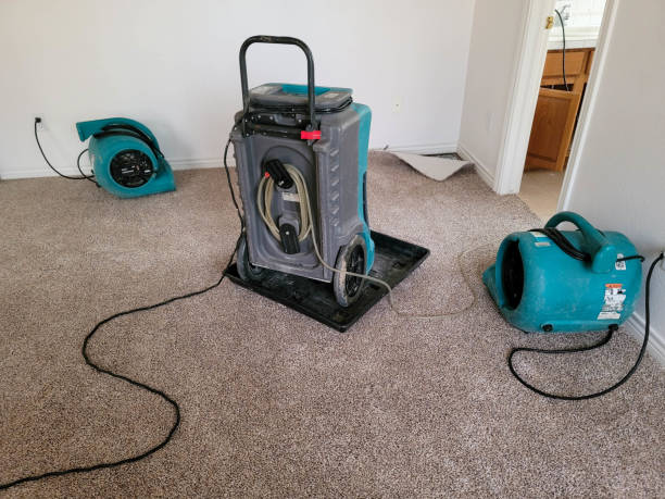 Orange City, FL Water damage restoration Company